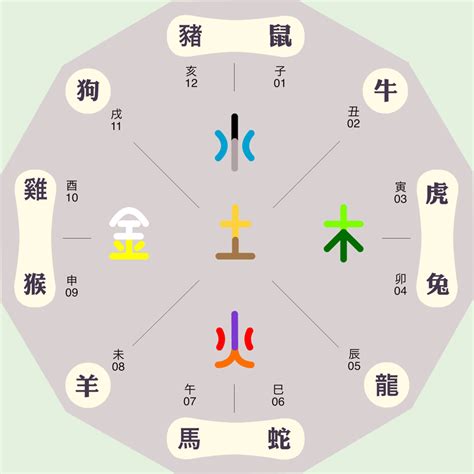 辰屬金|十二地支與五行所屬